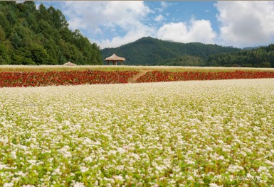 메밀꽃 필 무렵, 봉평
