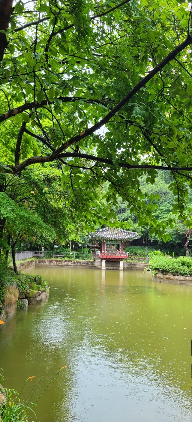 KakaoTalk_20250809_170815226_01.jpg